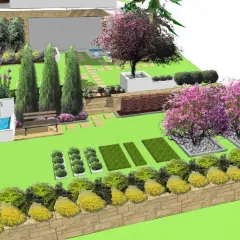 Jak zaprojektować ogród? Poradnik DIY: od planu po rośliny!