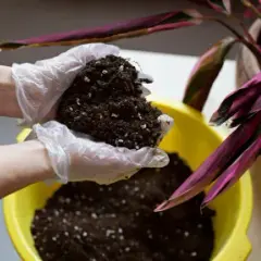 Zapomnij o workach! Stwórz idealną ziemię ogrodową DIY krok po kroku