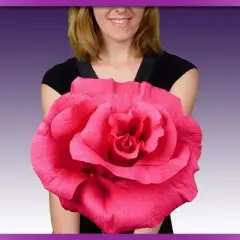 Kwiaty z krepiny XXL: Twój przewodnik DIY krok po kroku