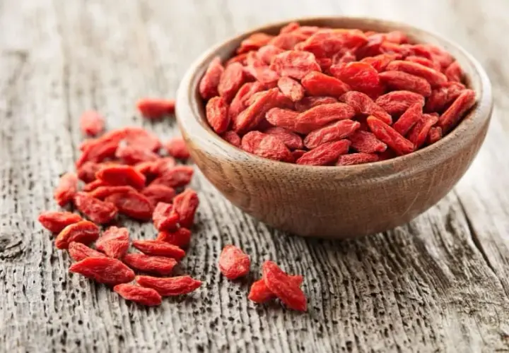 Jak i kiedy przycinać jagody goji? Poradnik do obfitych zbiorów