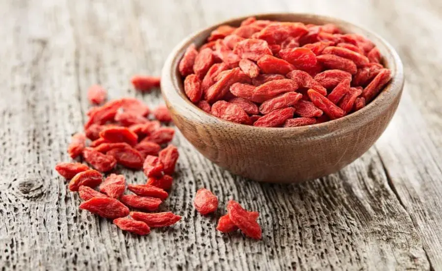Jak i kiedy przycinać jagody goji? Poradnik do obfitych zbiorów
